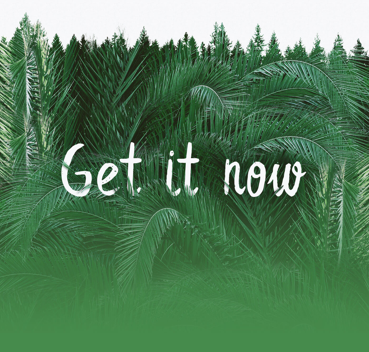 Leafy Extended Brush Font