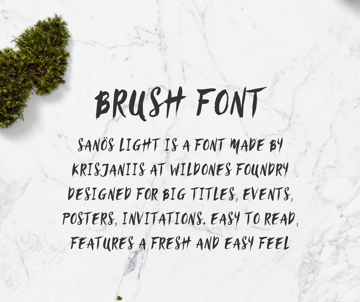 Sanös Brush Script Font